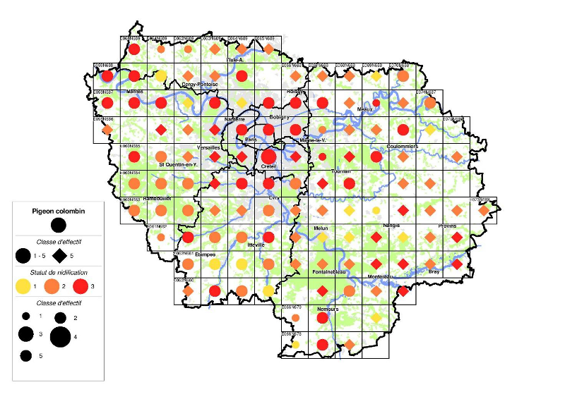 © Répartition